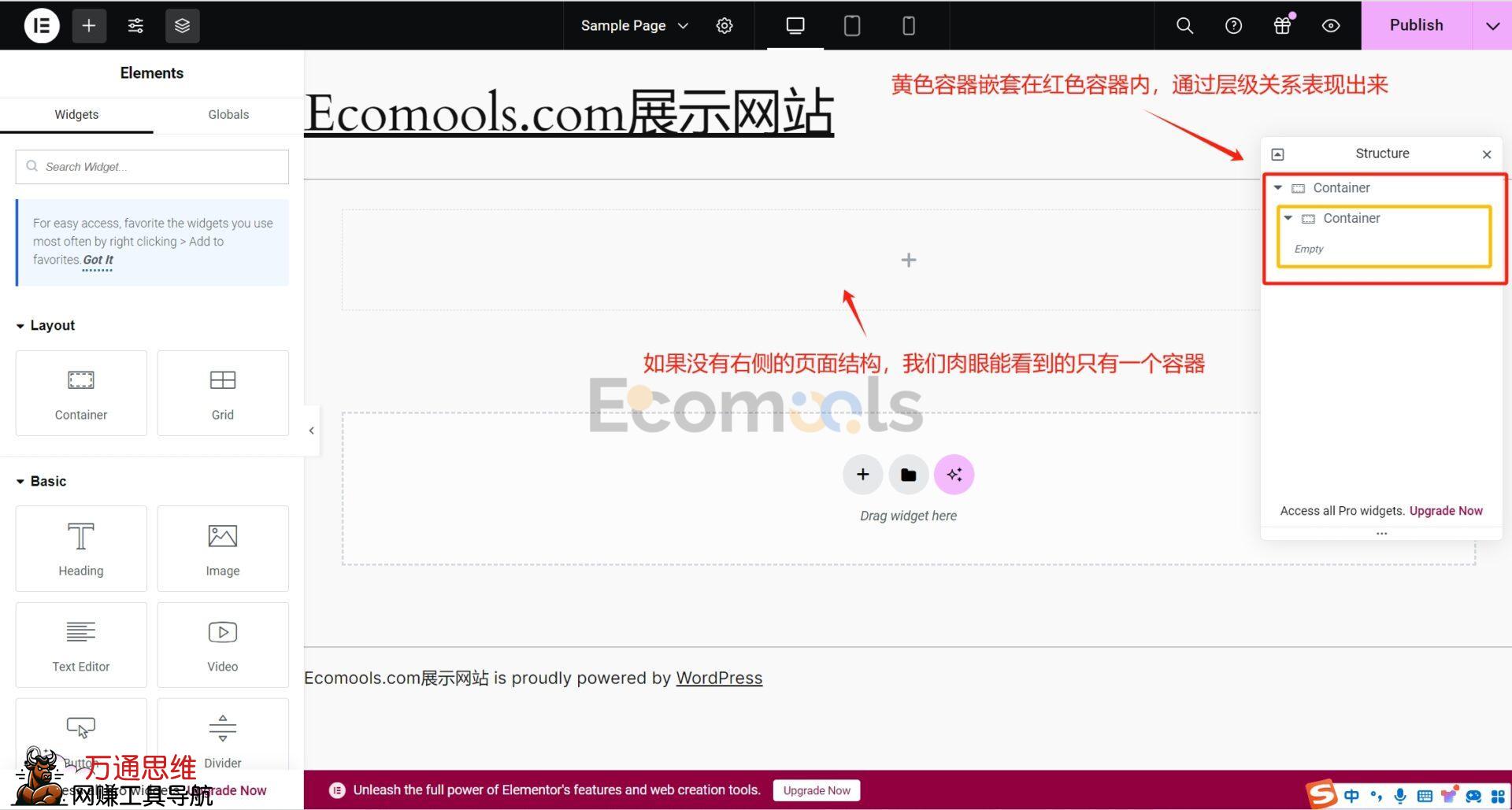 Elementor基础:Container(容器)和Layout(布局)详解