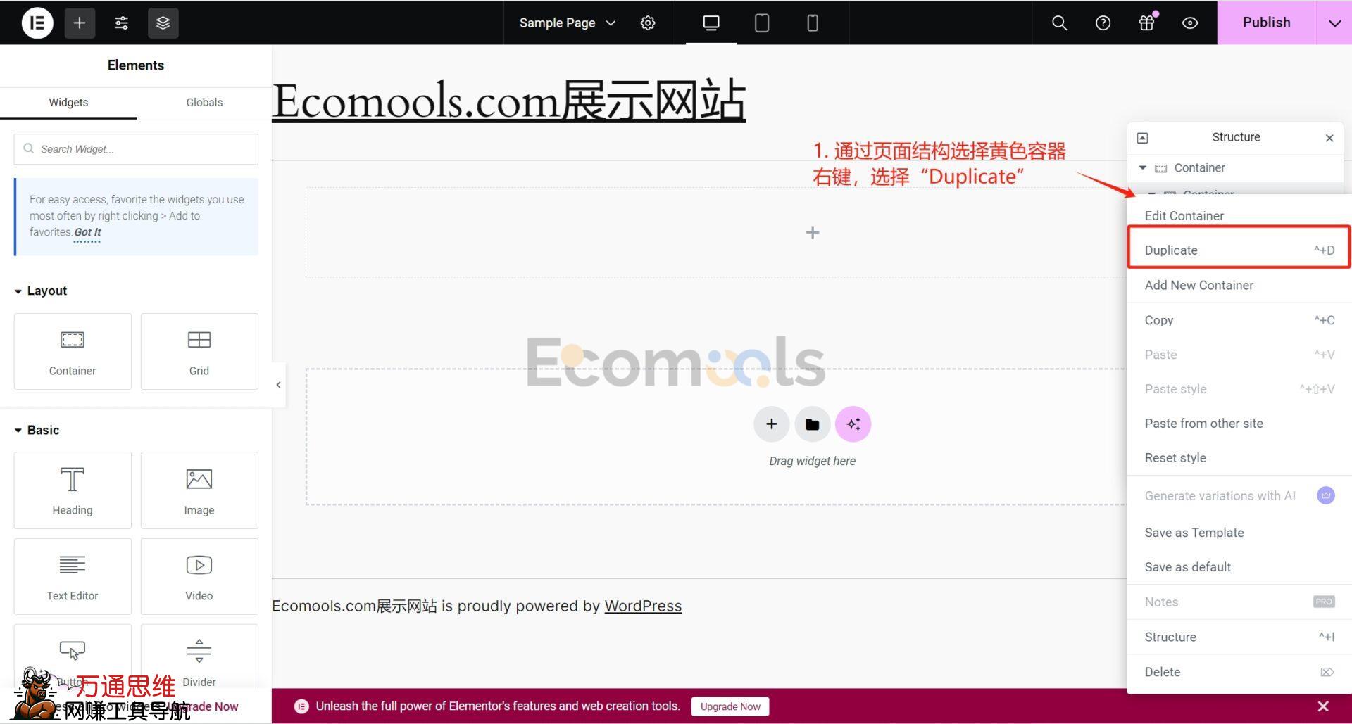 Elementor基础:Container(容器)和Layout(布局)详解