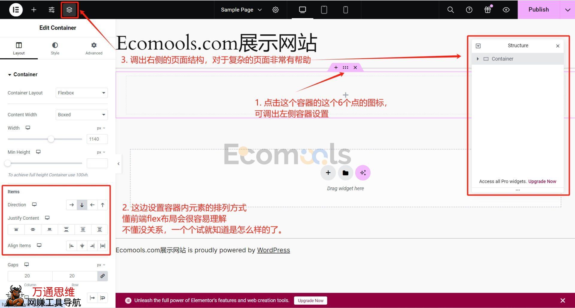 Elementor基础:Container(容器)和Layout(布局)详解